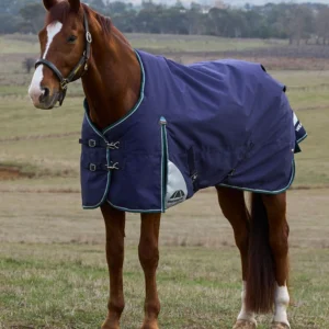 Weatherbeeta 100g ComFiTec Plus Dynamic Turnout