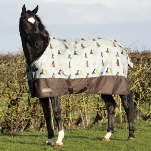StormX It's A Dogs Life 0 Turnout Rug