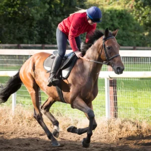 Cameo Equine Ventus Apollo Air Performance Saddlecloth