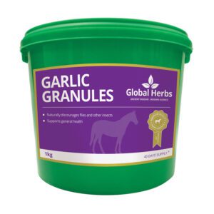 Global Herbs Garlic Granules 1kg 