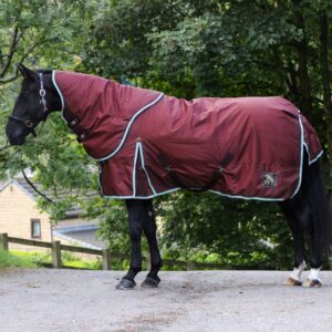 Whitaker James 150g Combo Turnout Rug