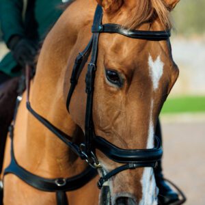 EcoRider SeamFree Anatomic Bridle