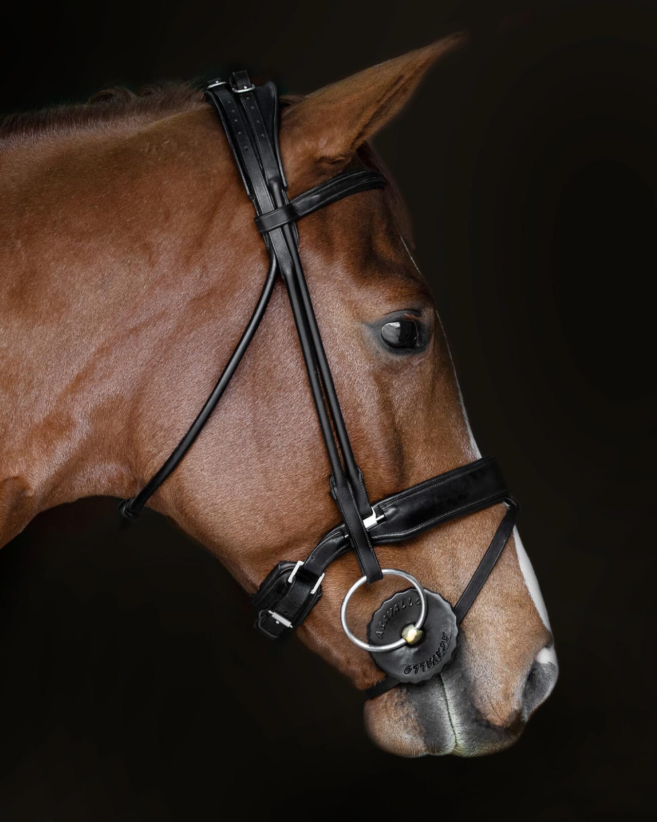Acavallo Bit Guard Gel