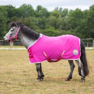 Gallop Ponie Tiddlywinks Jersey Cooler Rug
