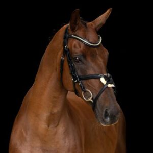 Imperial Riding Mexican Bridle IRH 