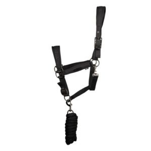 Paxton Padded Head Collar & Lead Rope by Coldstream