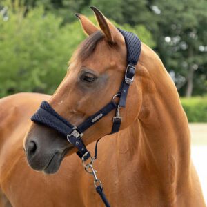 Middleton Air Flow Head Collar & Lead Rope by Coldstream 