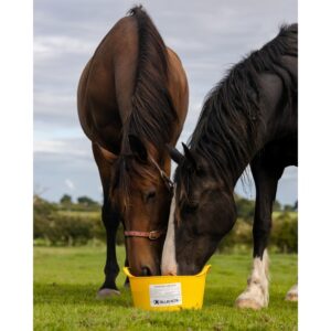 DK Equine Garlic Flexi Tub Feed 12.5kg Click & Collect