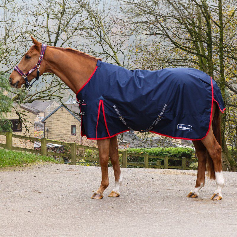 Whitaker Rastrick V2 50g Turnout R442 - Image 2
