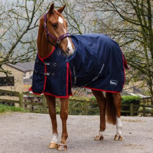 Whitaker Rastrick V2 50g Turnout R442