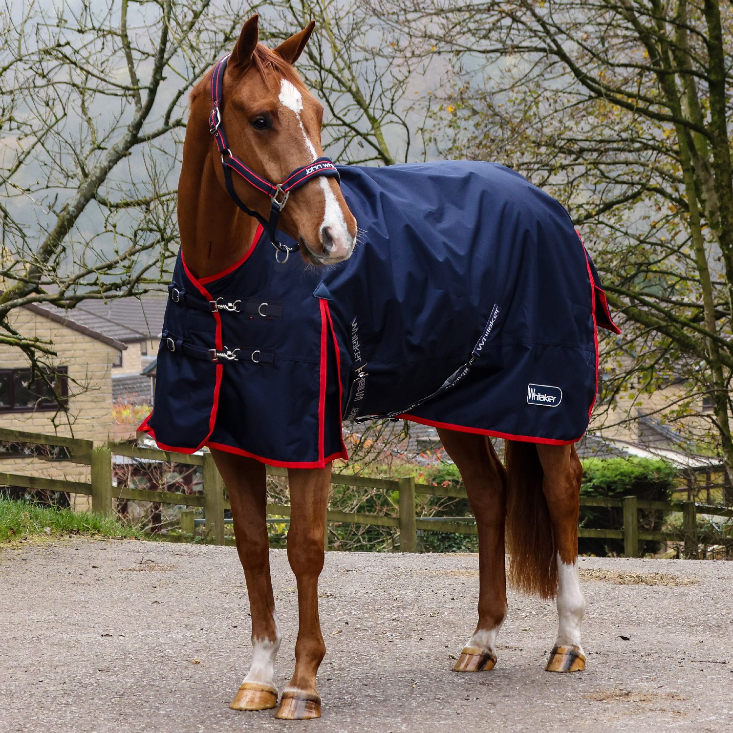 Whitaker Rastrick V2 50g Turnout R442