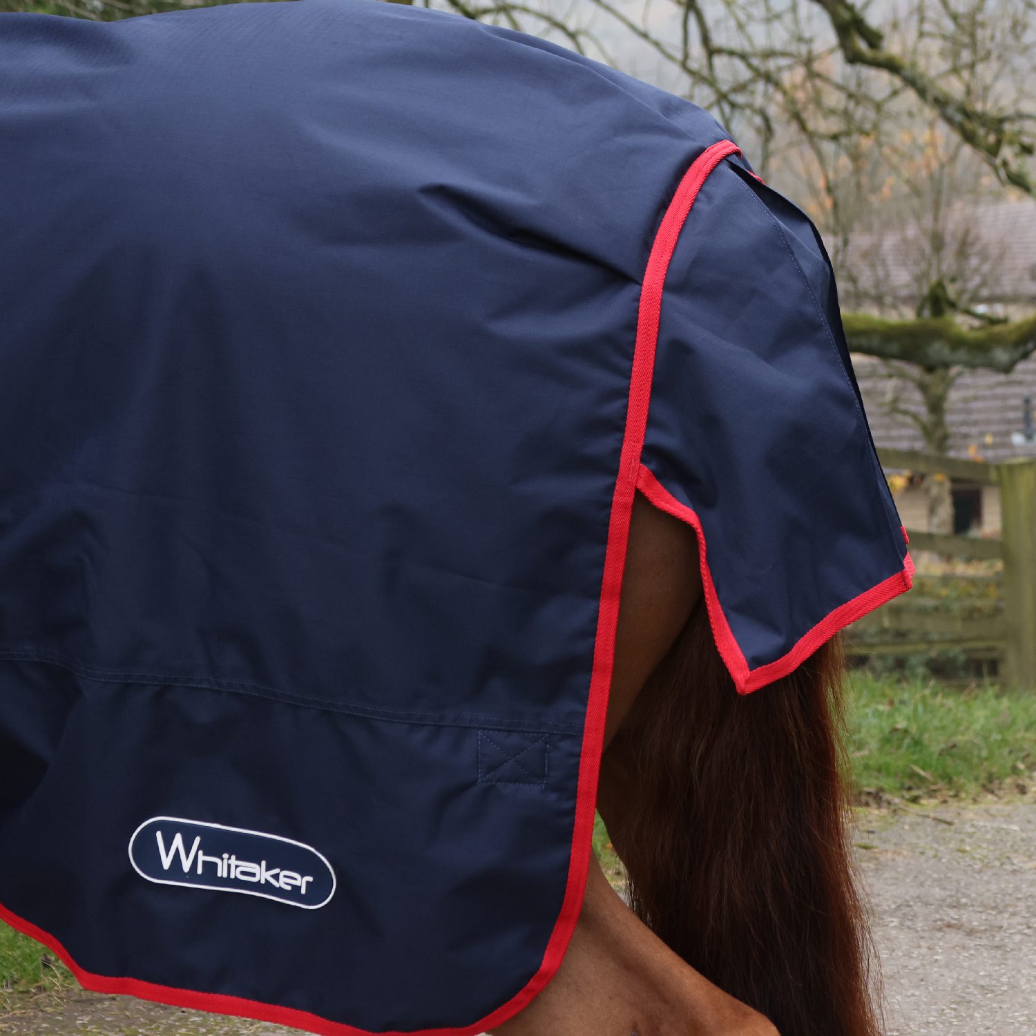 Whitaker Rastrick V2 50g Turnout R442 - Image 5