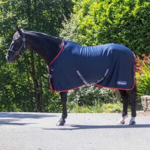 Whitaker Rastrick V2 Cooler R475