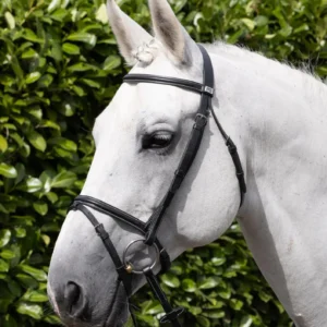 Premier Equine Raised Jumping Bridle