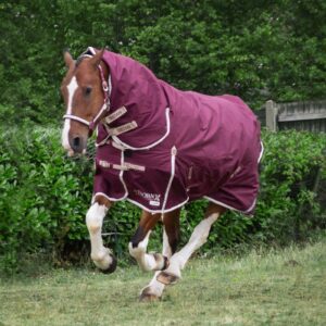 Gallop Trojan Xtra 100g Turnout Combo Duraproof 