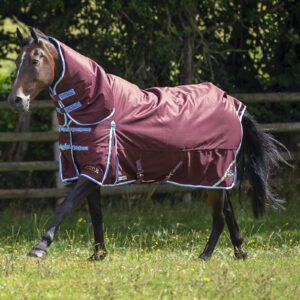 Gallop Trojan Xtra 300g Turnout Combo Duraproof 