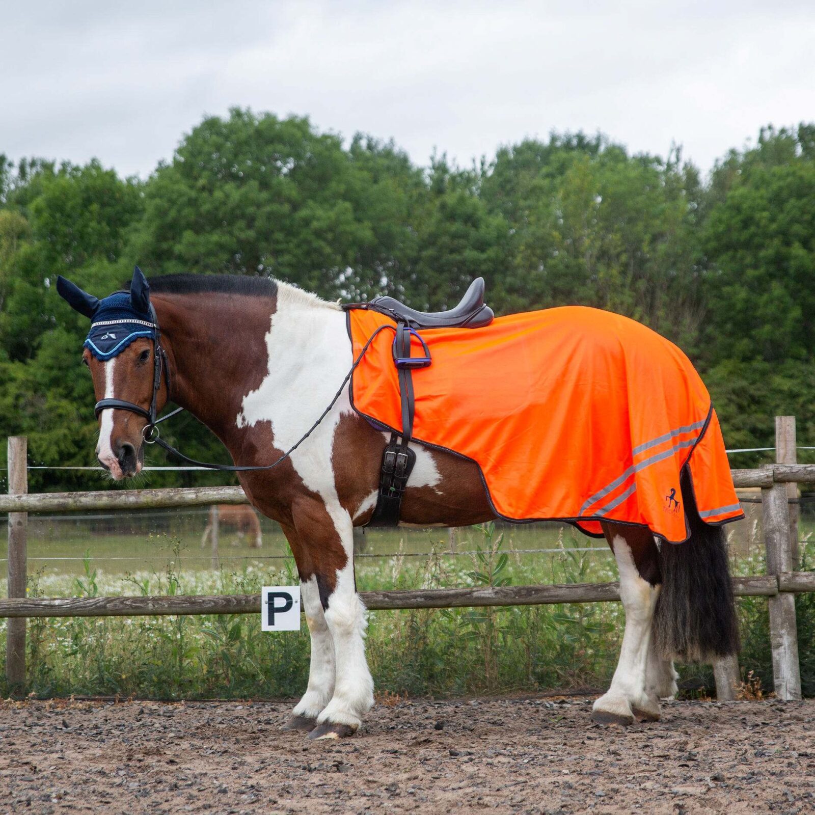 Gallop Trojan Mesh Exercise Sheet - Image 4