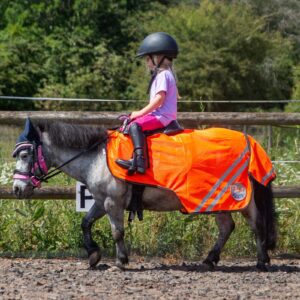 Gallop Ponie Mesh Exercise Sheet 