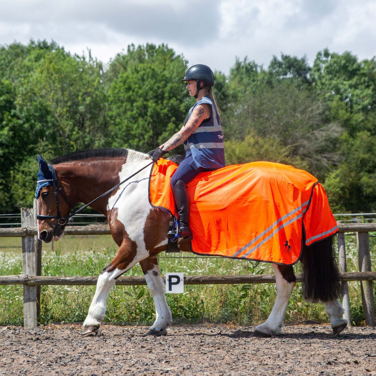Gallop Trojan Mesh Exercise Sheet - Image 3