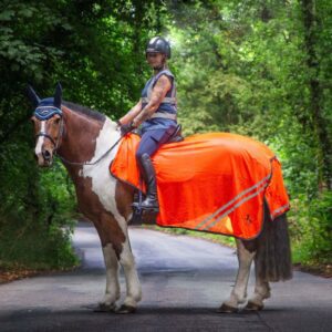 Gallop Trojan Mesh Exercise Sheet