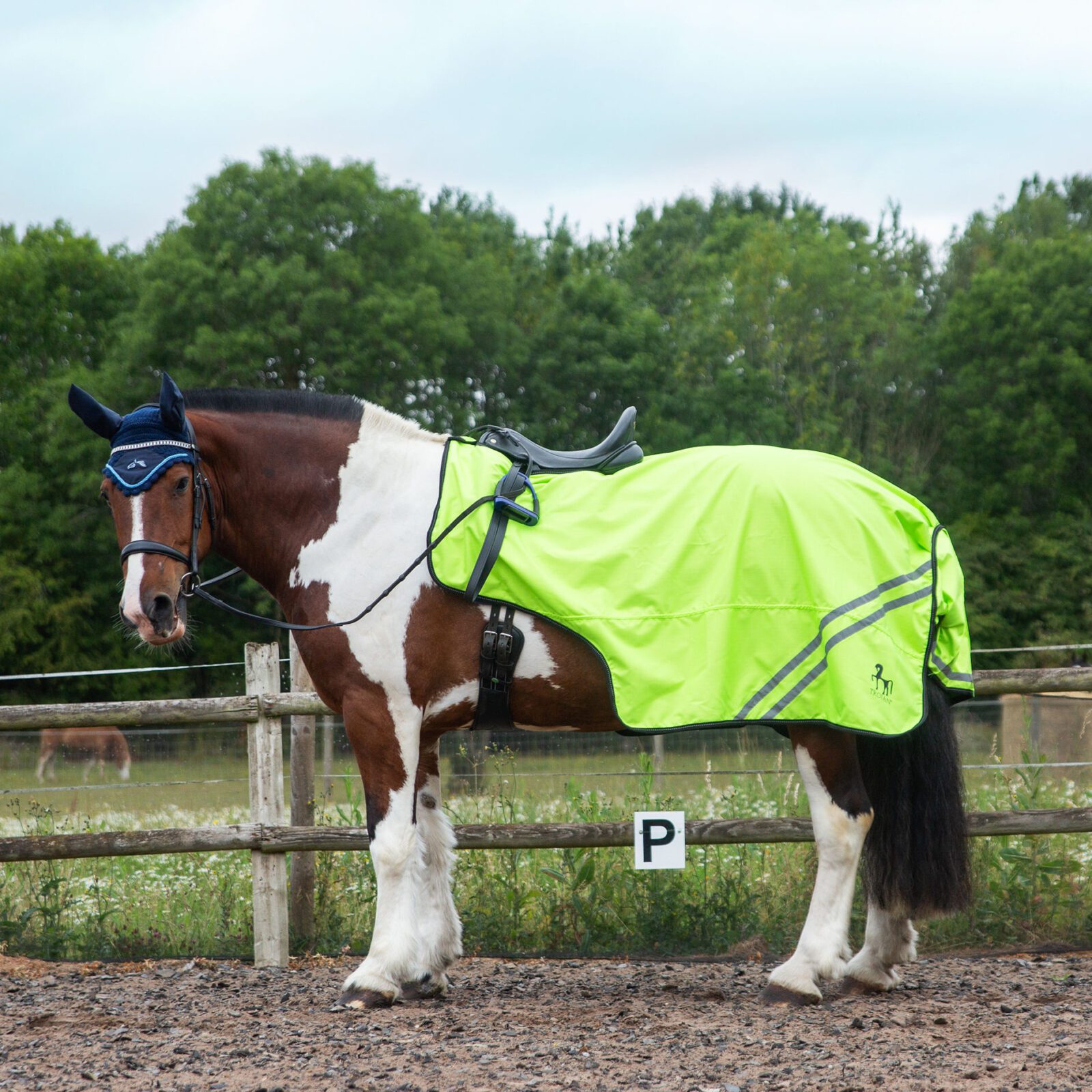 Gallop Trojan Mesh Exercise Sheet - Image 5