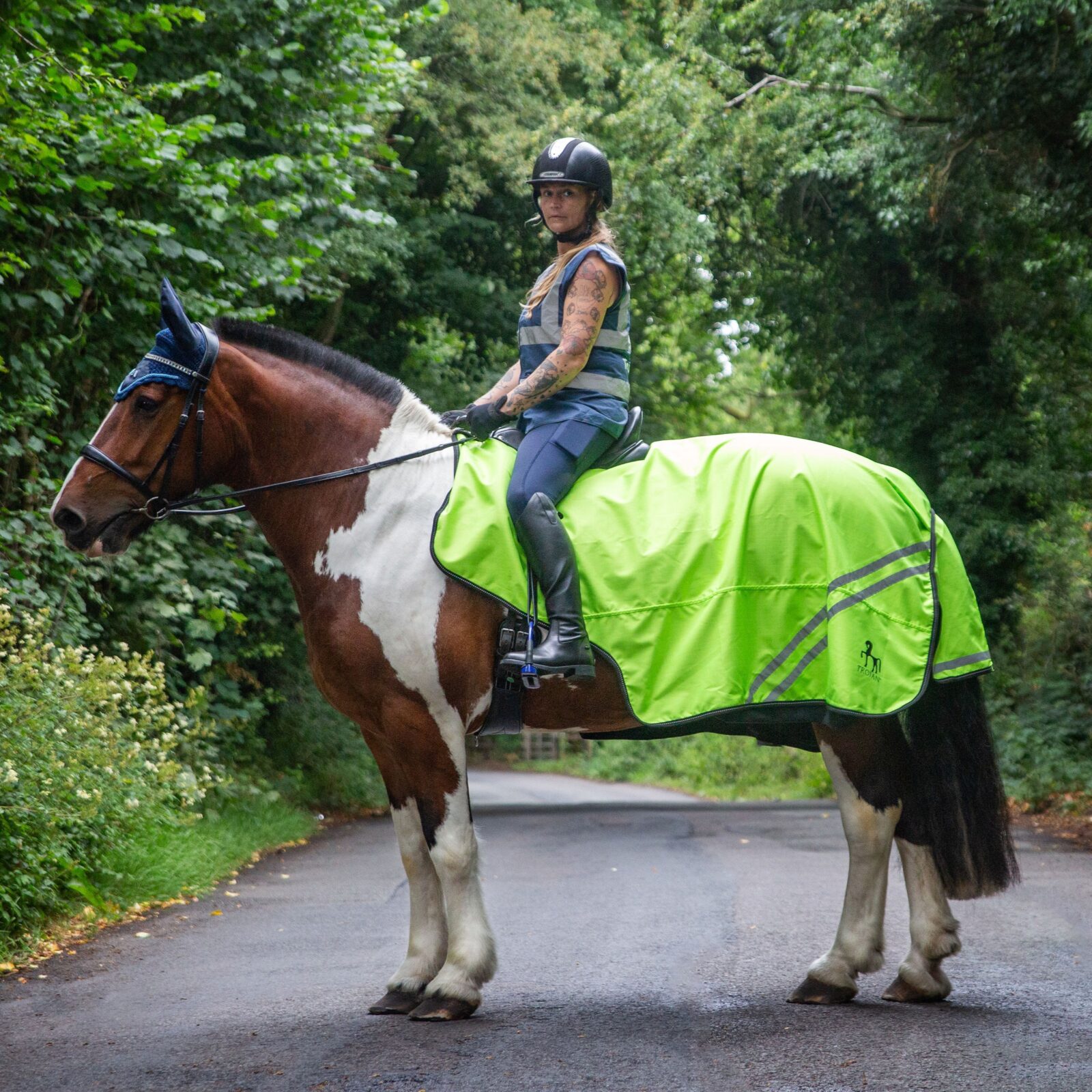 Gallop Trojan Mesh Exercise Sheet - Image 2
