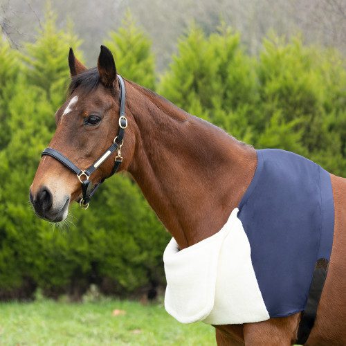 Lycra Shoulder Vest by Hy Equestrian