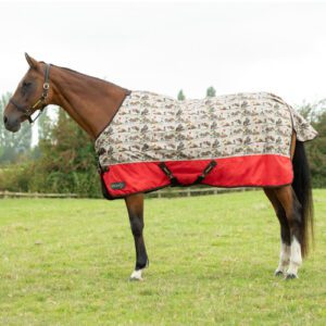 StormX Original Comic Chaos 50 Turnout Rug -Thelwell Collection