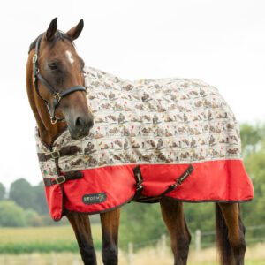 Comic Chaos 0 Turnout Rug -Thelwell Collection by StormX Original