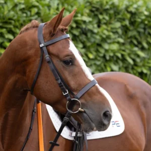 Premier Equine Exercise/Racing Bridle