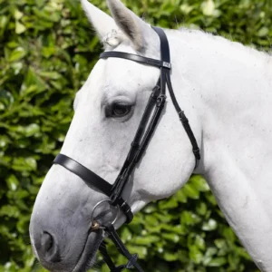Premier Equine Hunter Bridle 