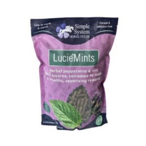Simple System Lucie Mints 