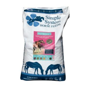 Simple System Stud Balance 15kg Click & Collect