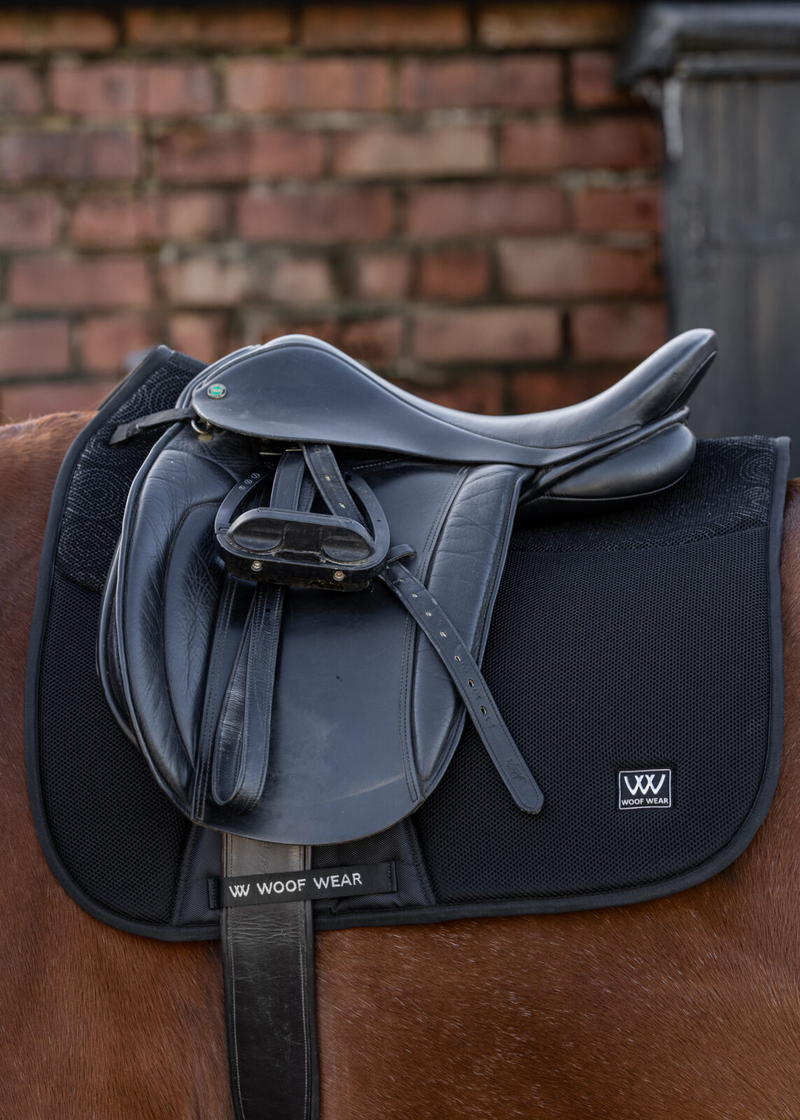 Elite Comfort Mesh Dressage Pad by Woof Wear