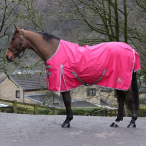 Whitaker 0g Standard Turnout Rug