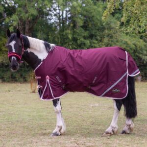 Gallop Trojan Xtra 200g Turnout Duraproof