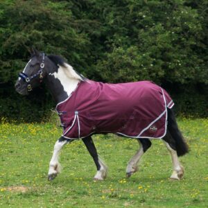 Gallop Trojan Xtra 50g Turnout Duraproof 