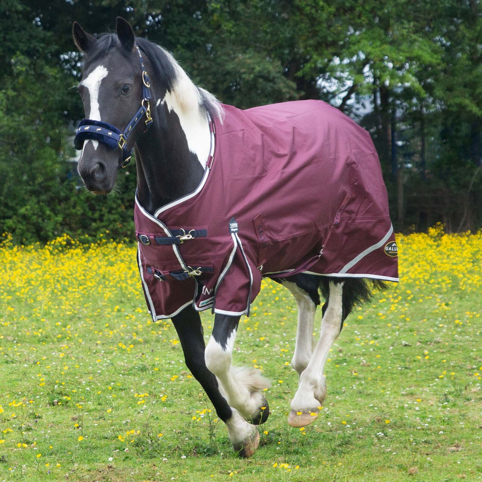 Gallop Trojan Xtra 0g Turnout Duraproof