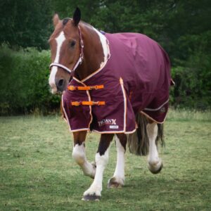 Gallop Trojan Xtra 100g Turnout Duraproof 