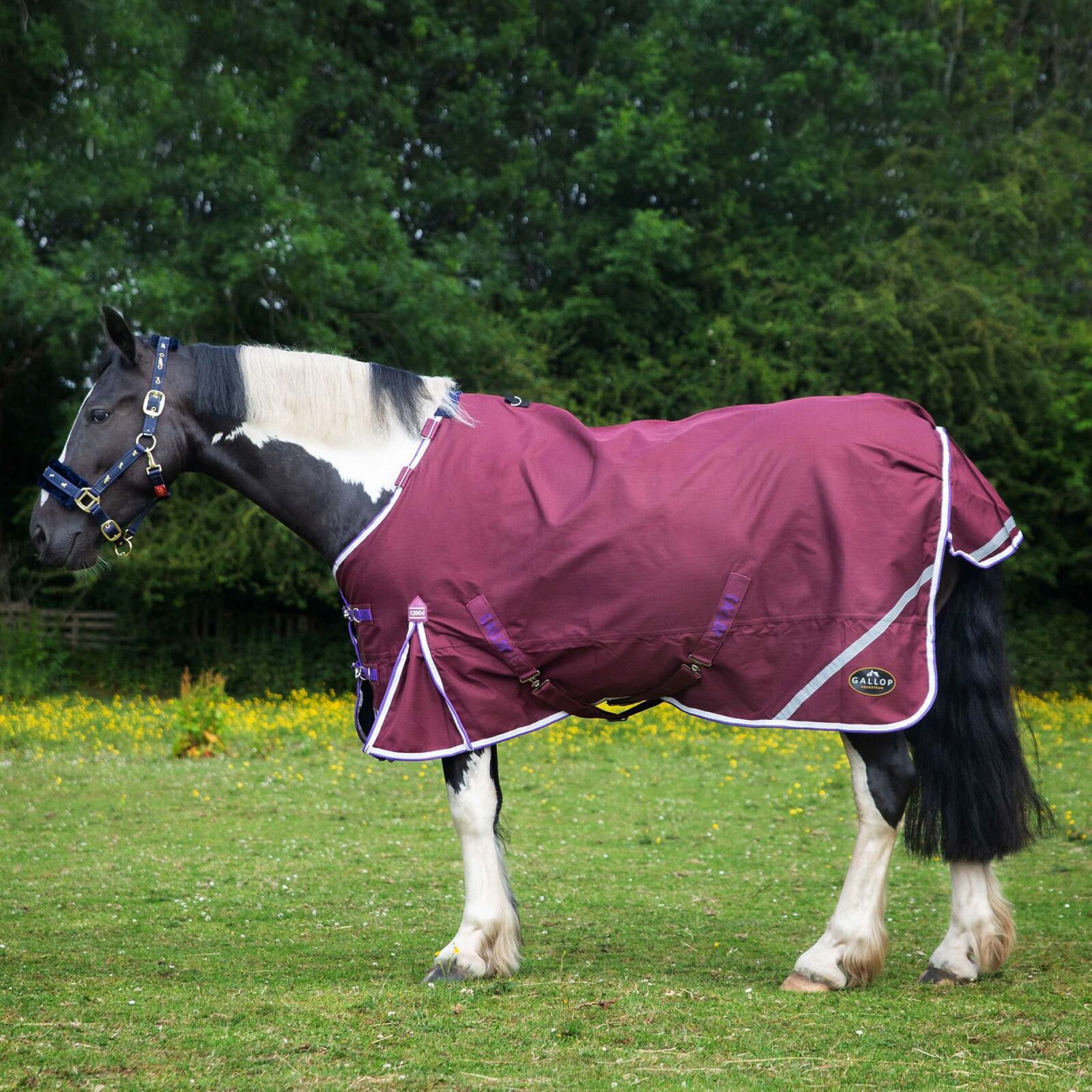 Gallop Trojan Xtra 0g Turnout Duraproof - Image 4