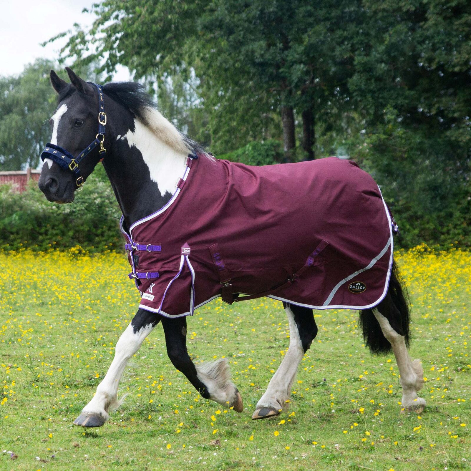Gallop Trojan Xtra 0g Turnout Duraproof - Image 2