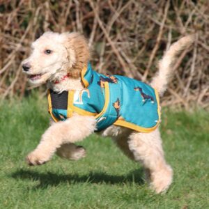 Gallop Dog Coat