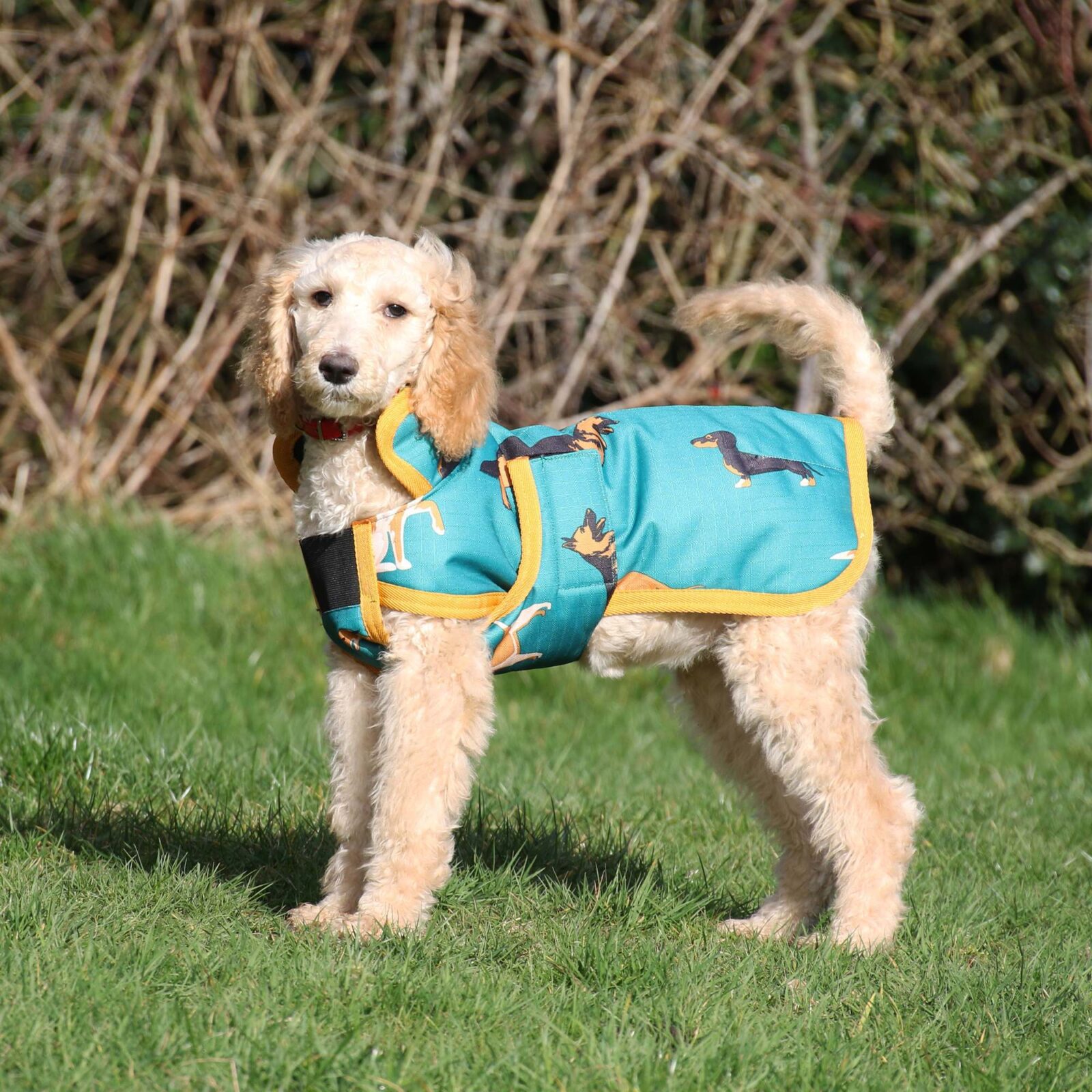 Gallop Dog Coat - Image 2