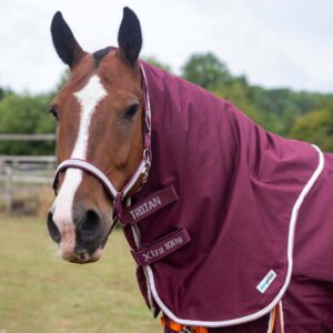 Gallop Trojan 100g Neck Cover Xtra Duraproof