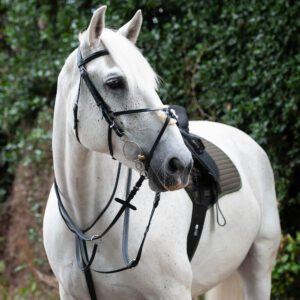 Gallop Breastplate Martingale