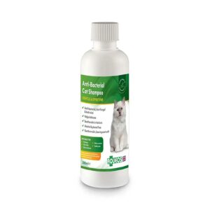 Aqueos Anti-Bacterial Cat Shampoo 200ml