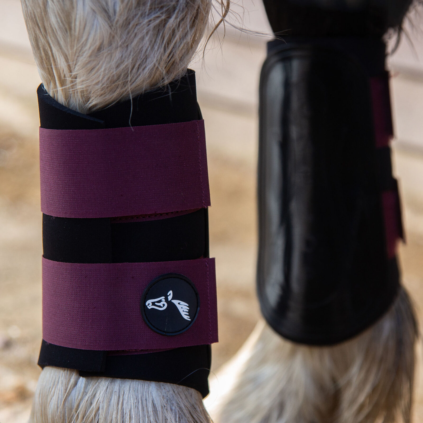 Gallop GP Brushing Boots - Image 3