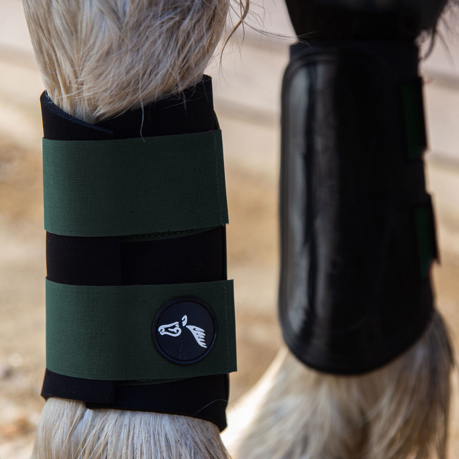 Gallop GP Brushing Boots - Image 4