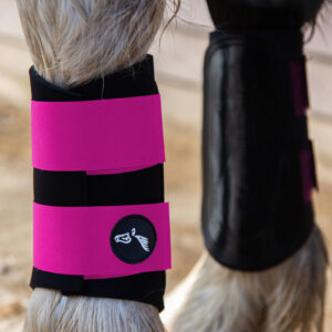 Gallop GP Brushing Boots