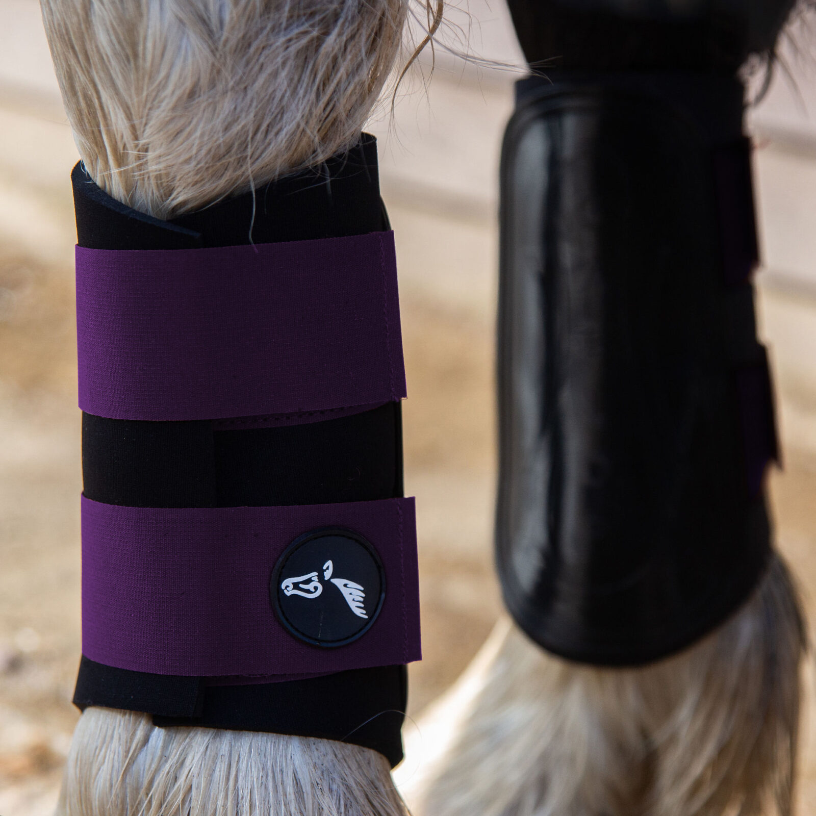 Gallop GP Brushing Boots - Image 6